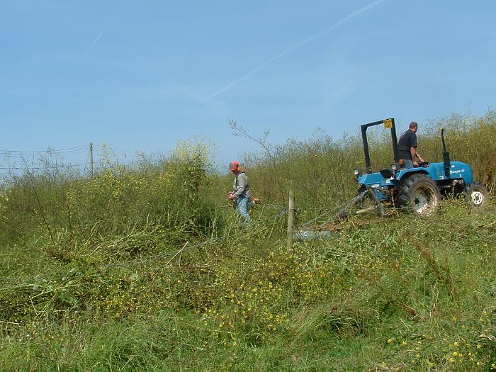 2 Clearing the Field (9)